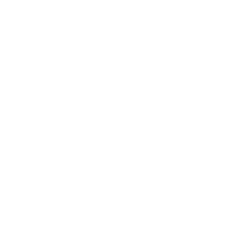team specializzati
